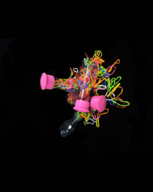 Mini Elastic Hair Bands